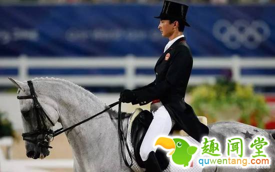 300匹奥运赛马是怎么运到里约的？坐商务舱！