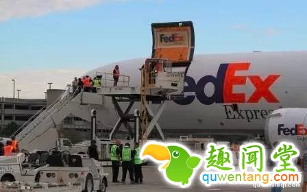 300匹奥运赛马是怎么运到里约的？坐商务舱！