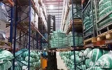 300匹奥运赛马是怎么运到里约的？坐商务舱！