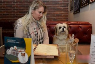 怎么给宠物取名字？澳大利亚人在这方面无