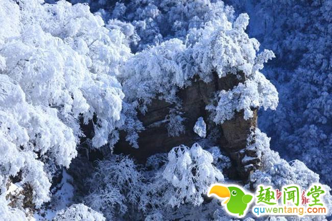 光雾山雪景如画。肖洪波 摄