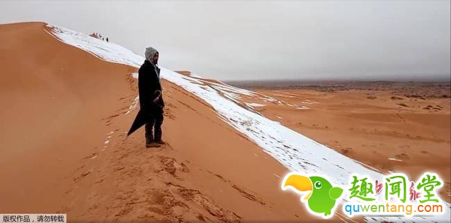 连续第二年！撒哈拉沙漠北部城市再迎降雪(组图)