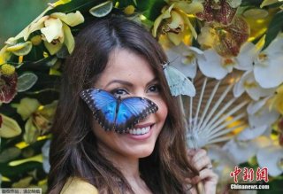 英国皇家花园举办蝴蝶展 美女“招蜂引蝶