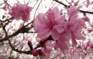 人生，要记得包容5个人！