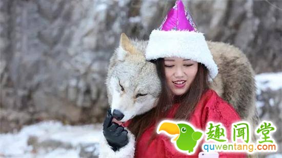 杨文静和自己养的狼。 本文图片&nbsp;扬子晚报·紫牛新闻