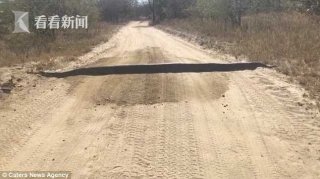 乡间土路上怎会有减速带