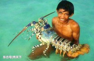 渔民捕捉到色彩斑斓的神秘龙虾，专家估价