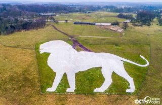英动物园修复壮观白狮地景画 消耗800吨粉
