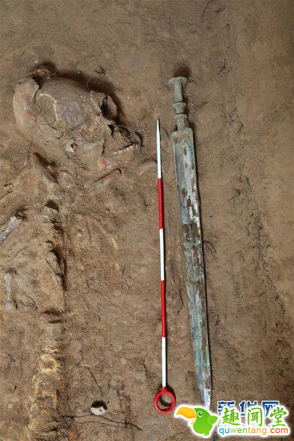 西咸新区空港新城岩村秦人墓葬发掘中发现的铜剑（资料照片）。秦人爱饮酒？2000多年前古人饮用的酒是什么样的？近日，陕西省考古研究院公布了西咸新区空港新城岩村秦人墓葬的发掘结果。这批平民墓葬的时间集中在战国晚期到秦代，尽管多次被盗扰，依然出土了不同材质的文物约260余件，其中引人瞩目的是在一件密封较好的铜壶里，发现了距今2000多年的古酒。新华社发