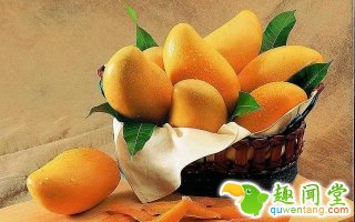 芒果上新季节，好吃营养的热带水果，不得