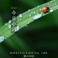 小满，是初恋的象征